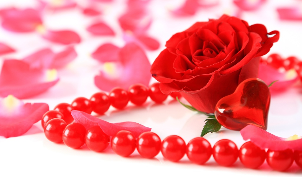 Красная роза с бусами и маленьким красным сердечком