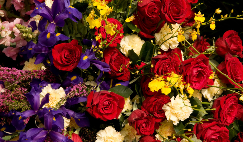 Розы, ирисы, гвоздики, орхидеи крупным планом