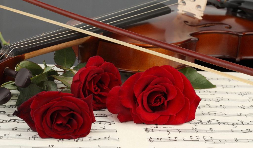 Три красные розы лежат на нотной тетради со скрипкой