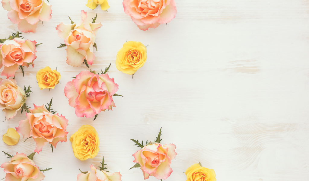 Сорванные цветы розовой и желтой розы на столе 