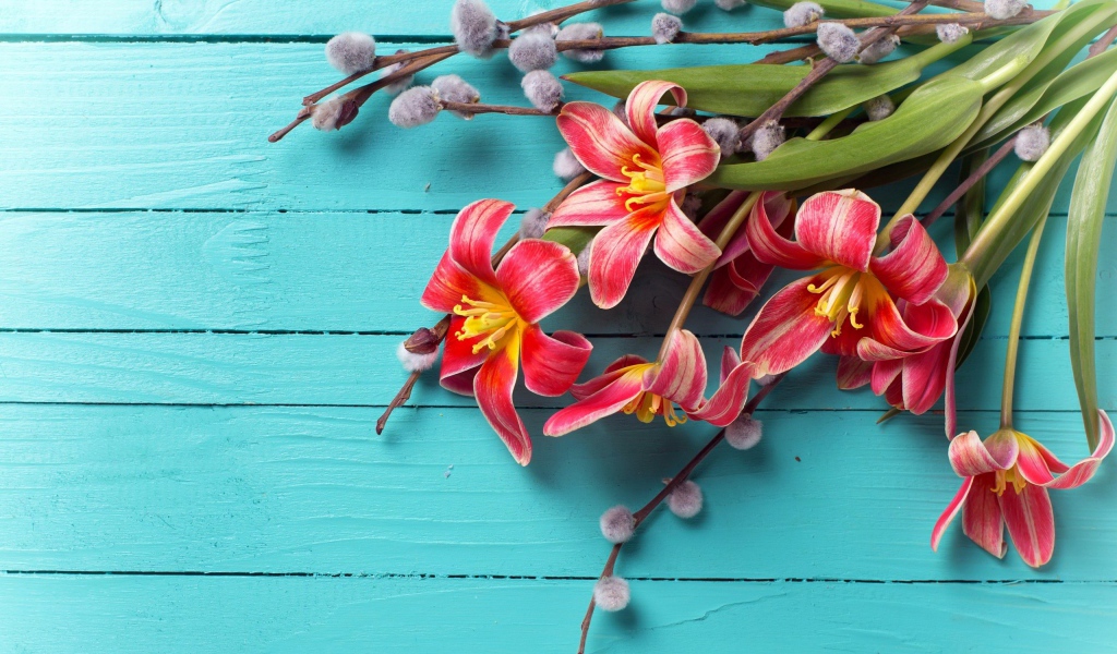 Тюльпаны с веточками вербы на голубом фоне