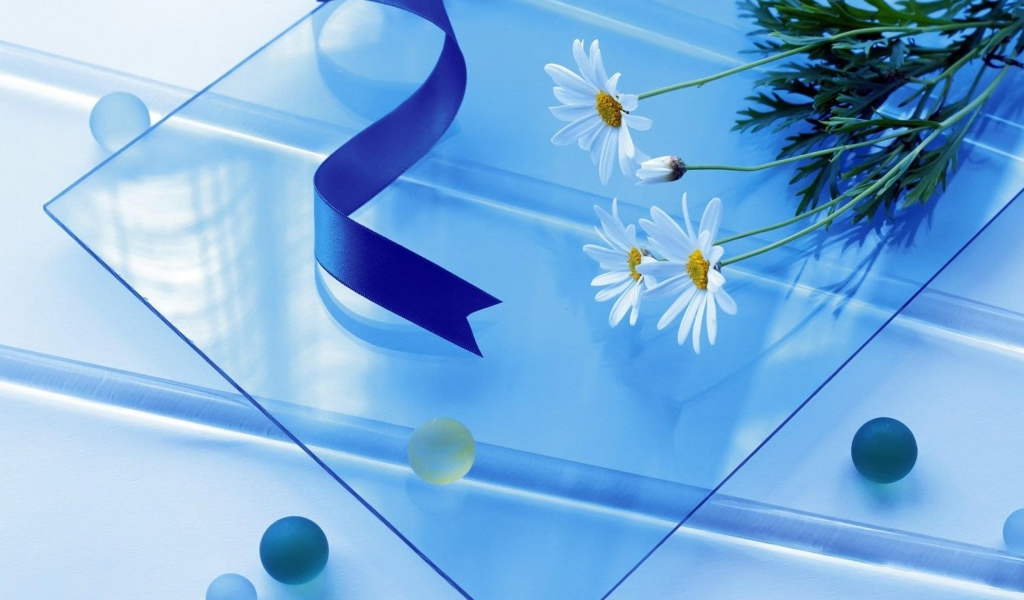 Белые ромашки на стеклянном столе с атласной лентой 