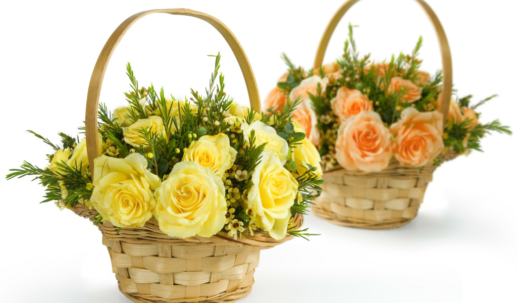 Желтые и оранжевые розы в корзинках на белом фоне