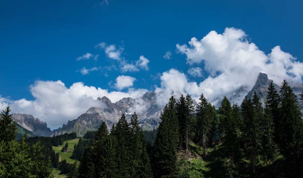 Горы у зеленого леса под белыми облаками в голубом небе