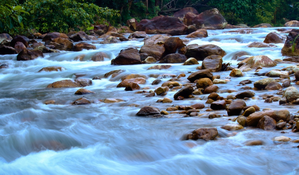 Быстрая горная река стекает по камням
