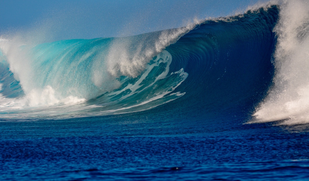 Высокая красивая волна в море