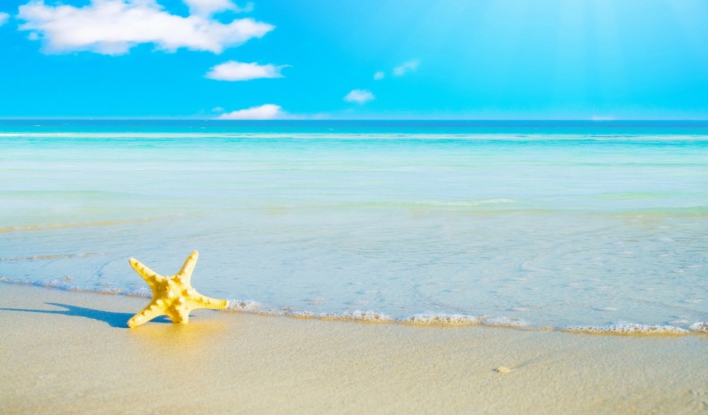 Морская звезда на белом песке у моря под голубым небом