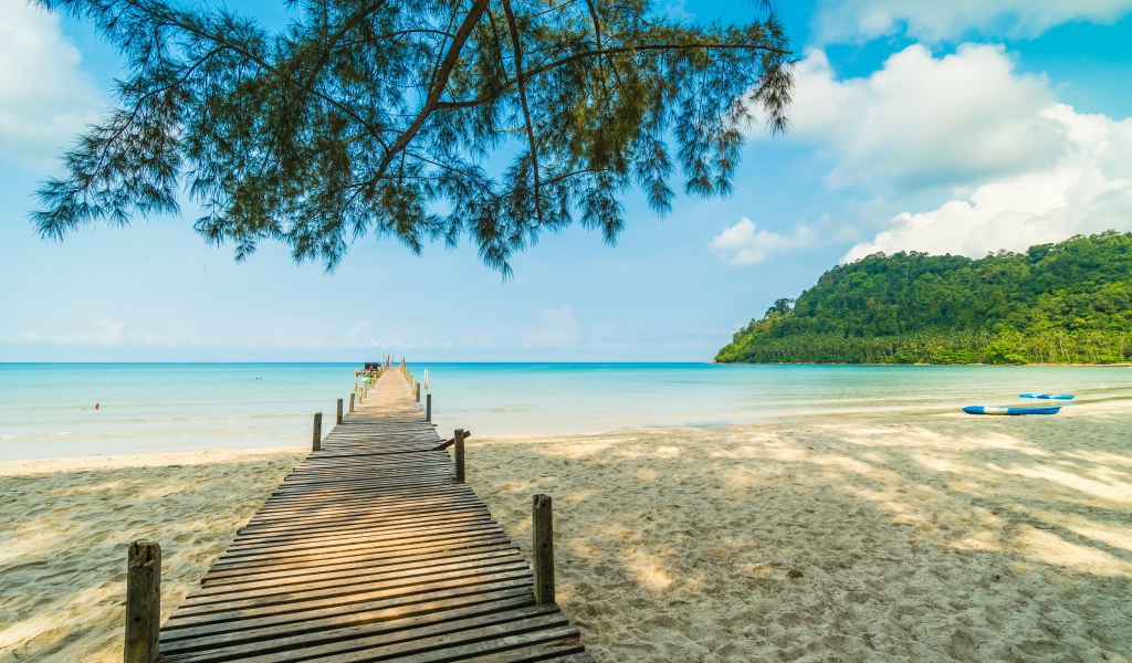 Деревянный мост под деревом в океане 