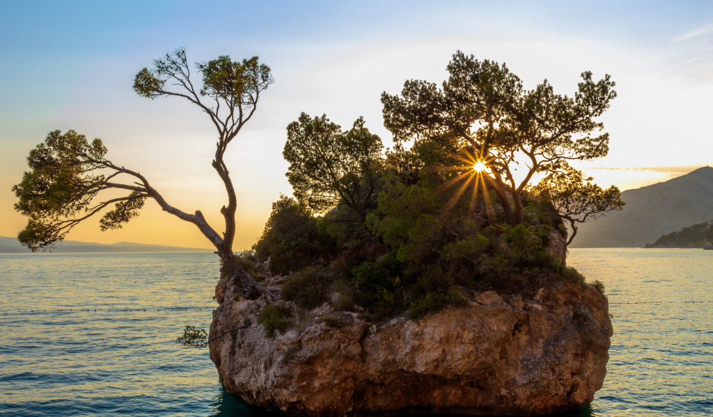 Скала с зелеными деревьями в воде на закате солнца