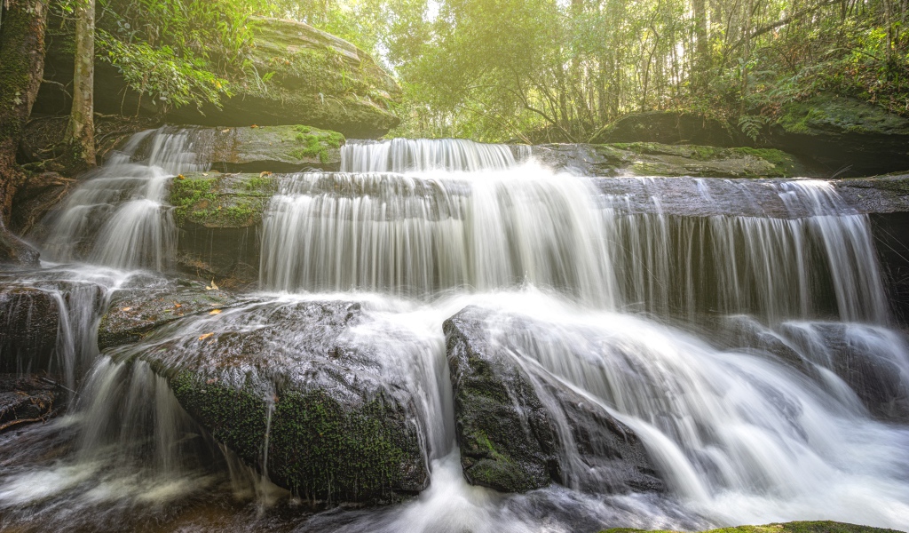 Лесной водопад стекает по камням