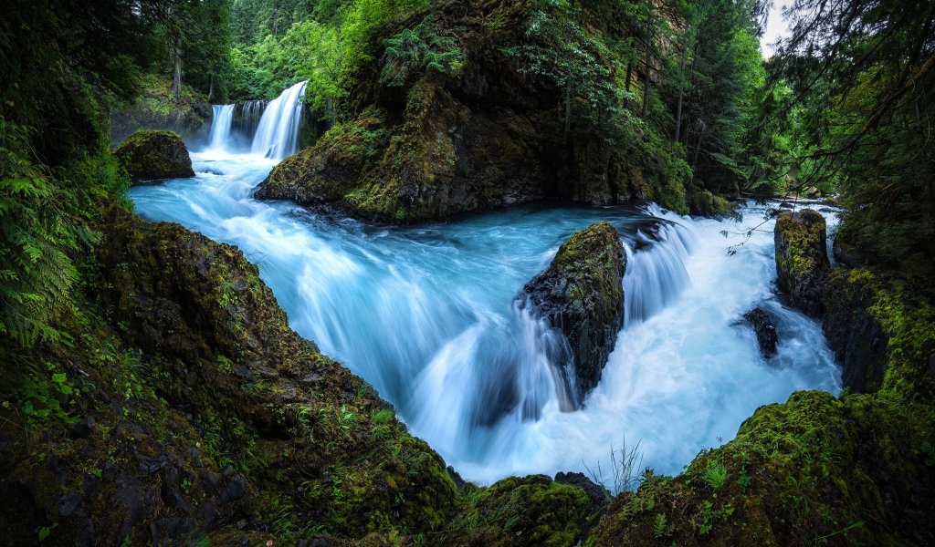 Быстрый лесной водопад бежит по мокрым камням