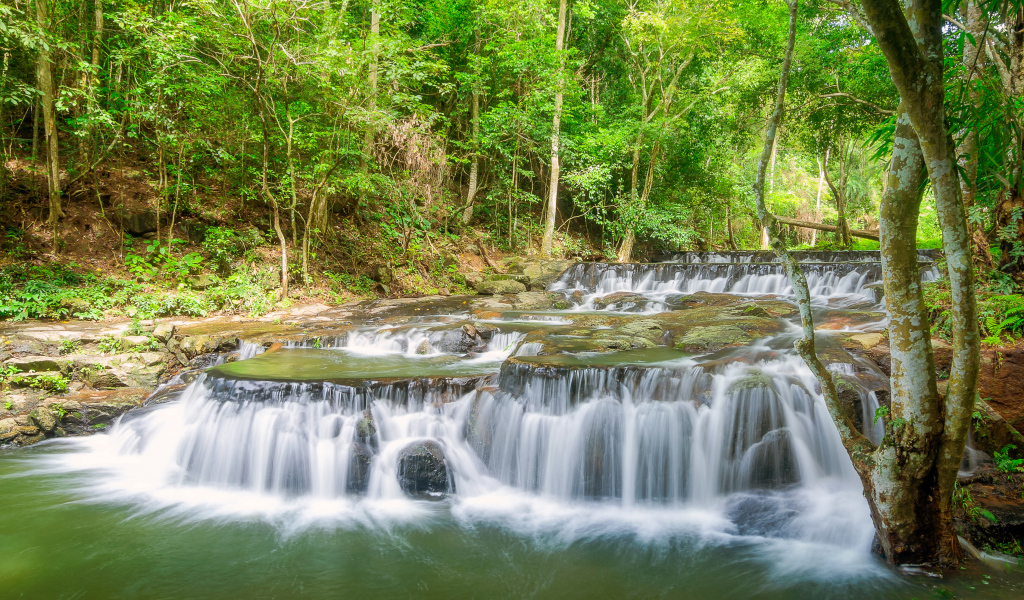 Быстрый лесной маленький водопад 