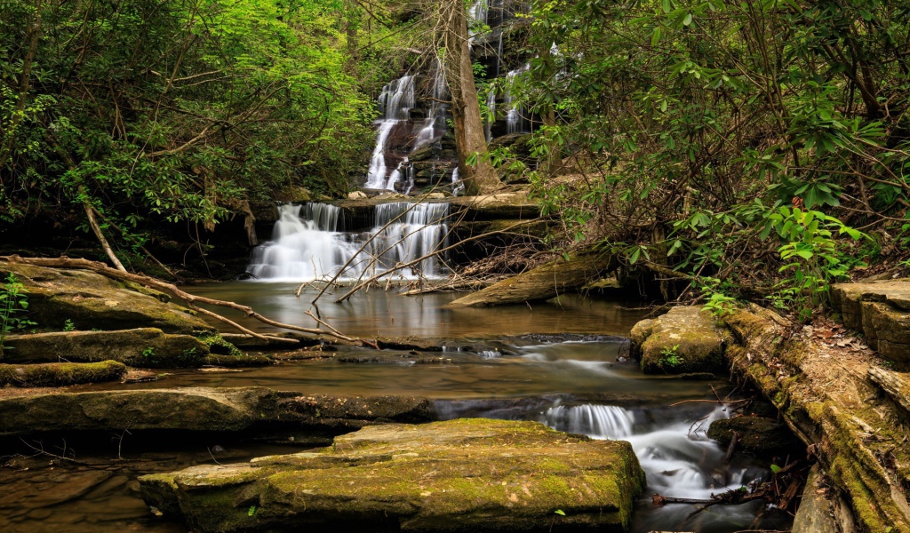 Водопад стекает по камням в лесу