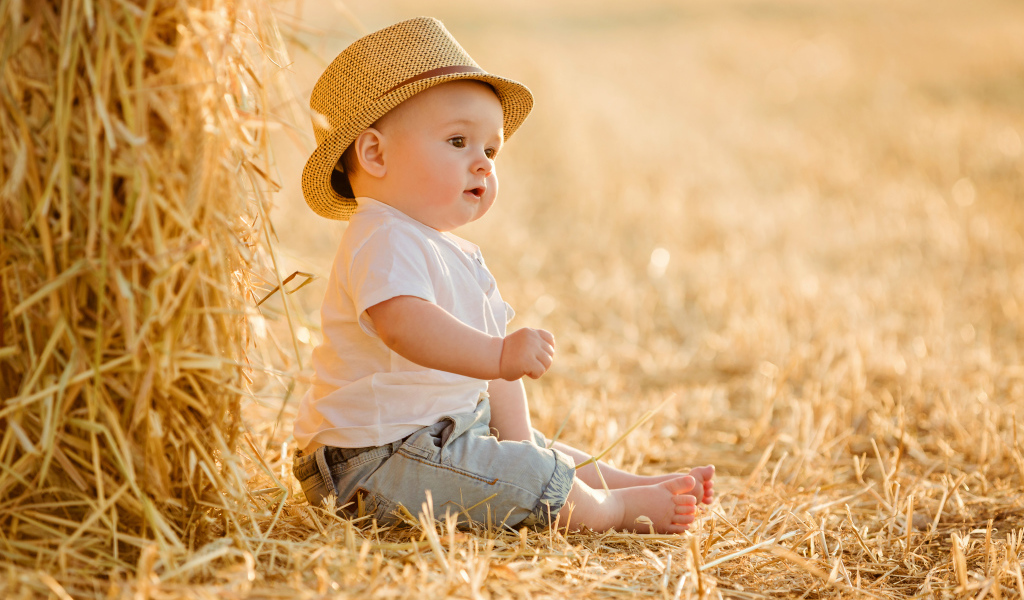 Маленький мальчик сидит на сене