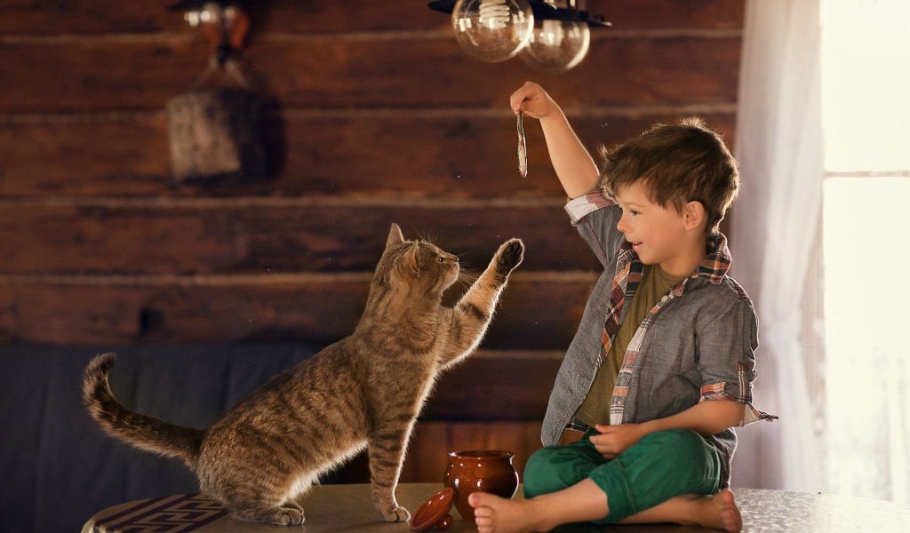 Маленький мальчик дразнит рыбой серого кота