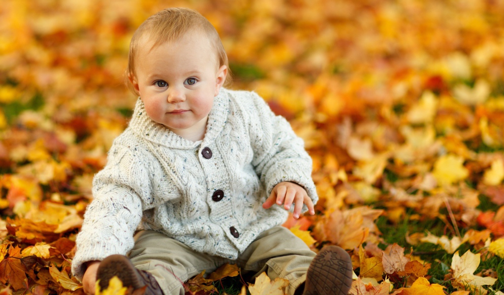 Маленький ребеной сидит на желтой опавшей листве осенью