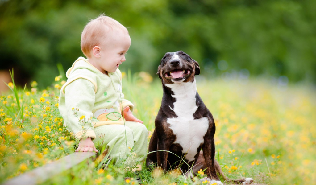 Маленький ребенок сидит с довольной собакой