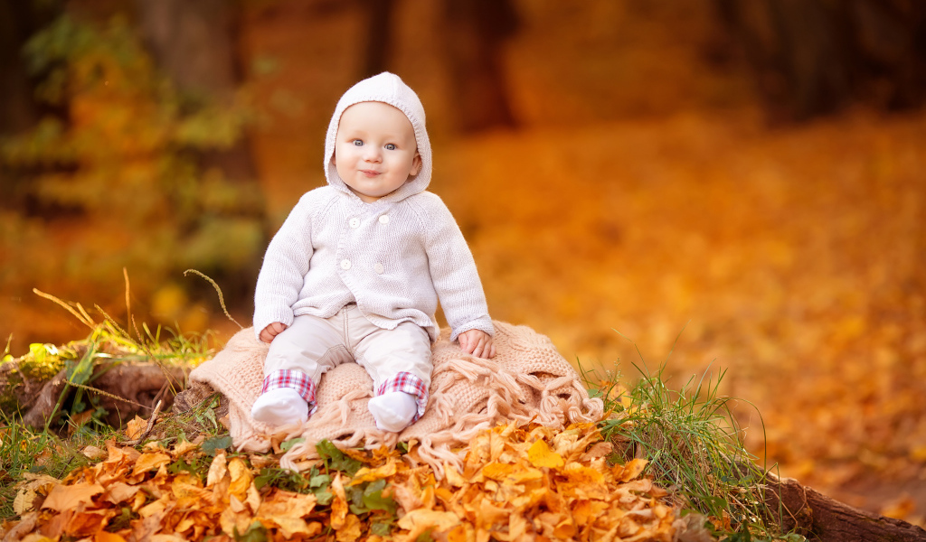Маленький ребенок сидит на листве осенью 