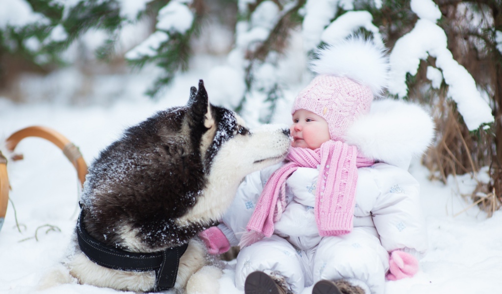 Грудной ребенок с собакой хаски на снегу