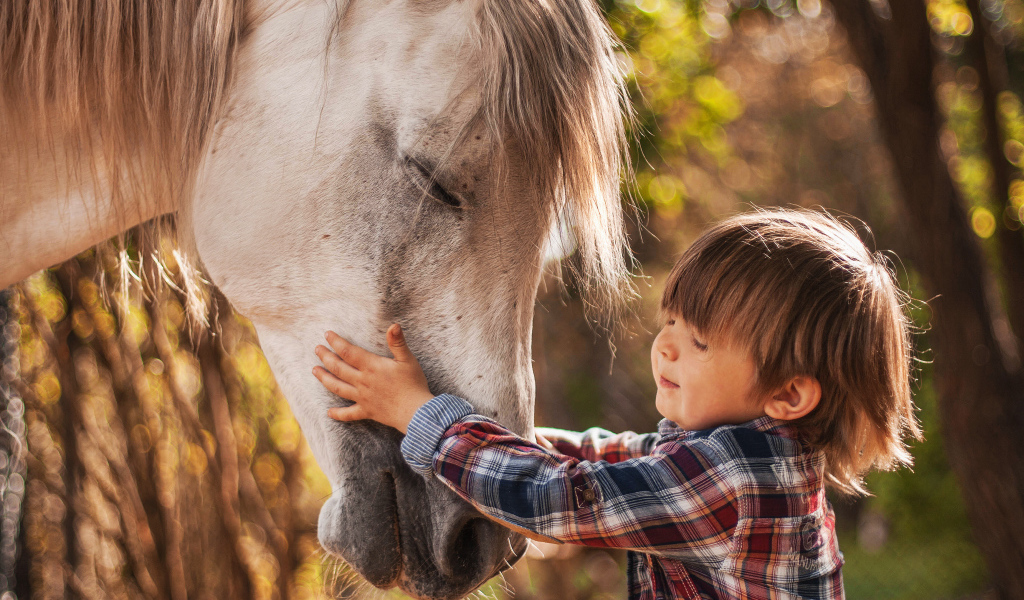Маленький мальчик дружит с белой лошадью 