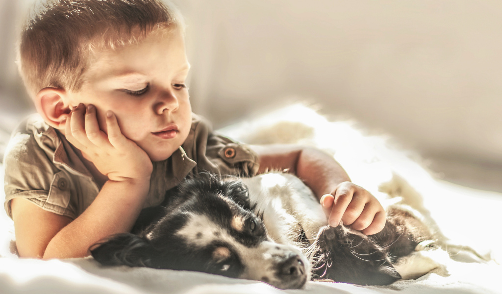 Маленький мальчик лежит с собакой и котом