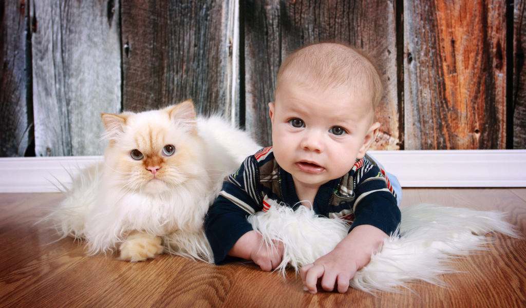 Маленький мальчик лежит на полу с котом 