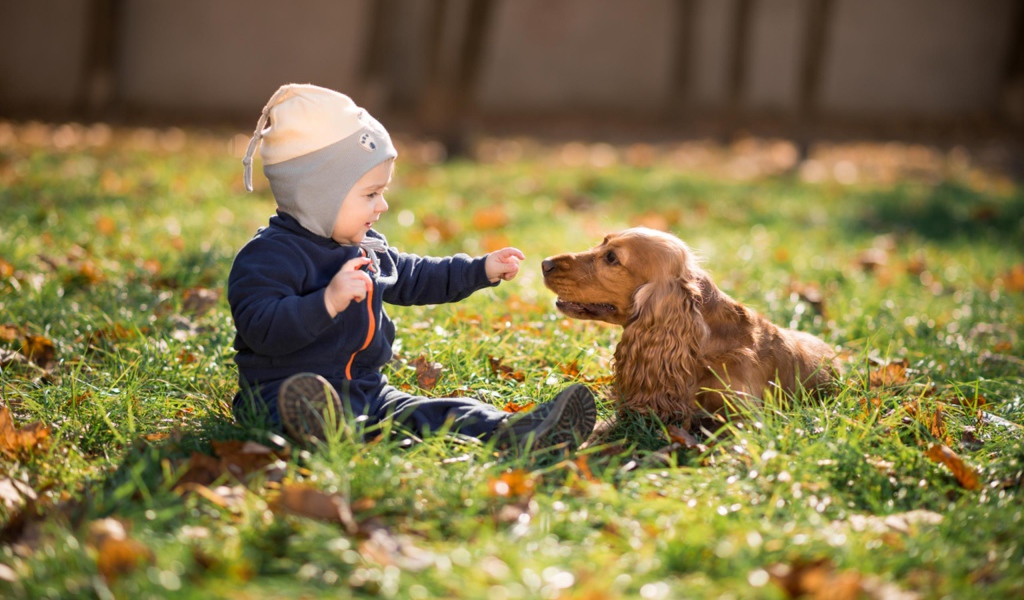 Маленький мальчик сидит на траве с собакой 