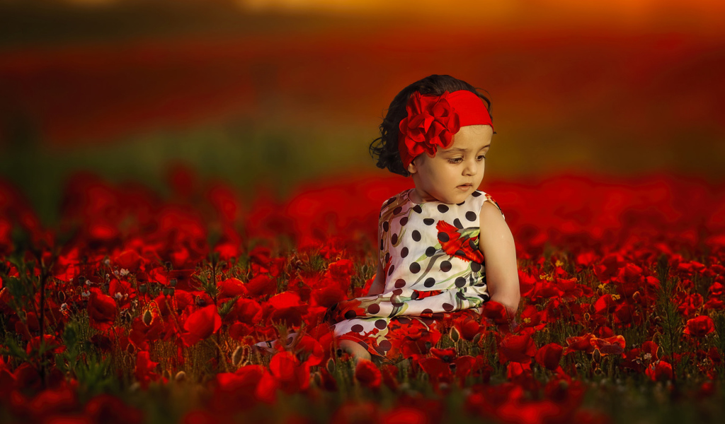 Маленькая девочка в красивом платье на поле с красными маками