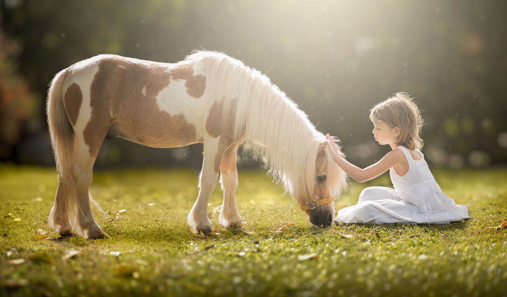 Маленькая девочка в белом платье с пони