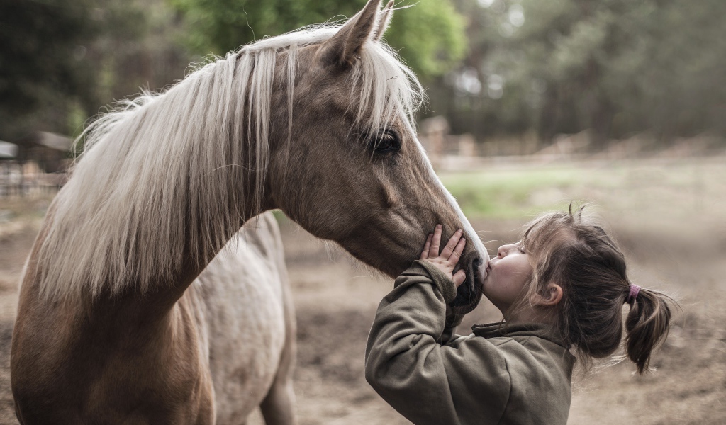 Маленькая девочка целует коня