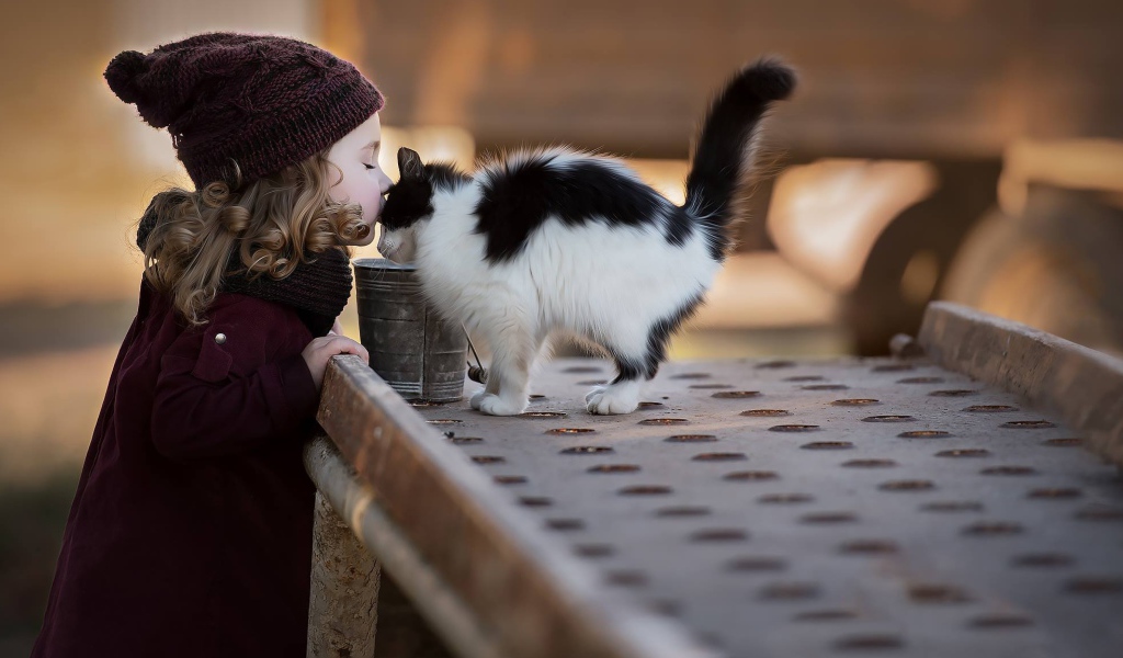 Маленькая девочка целует котенка 