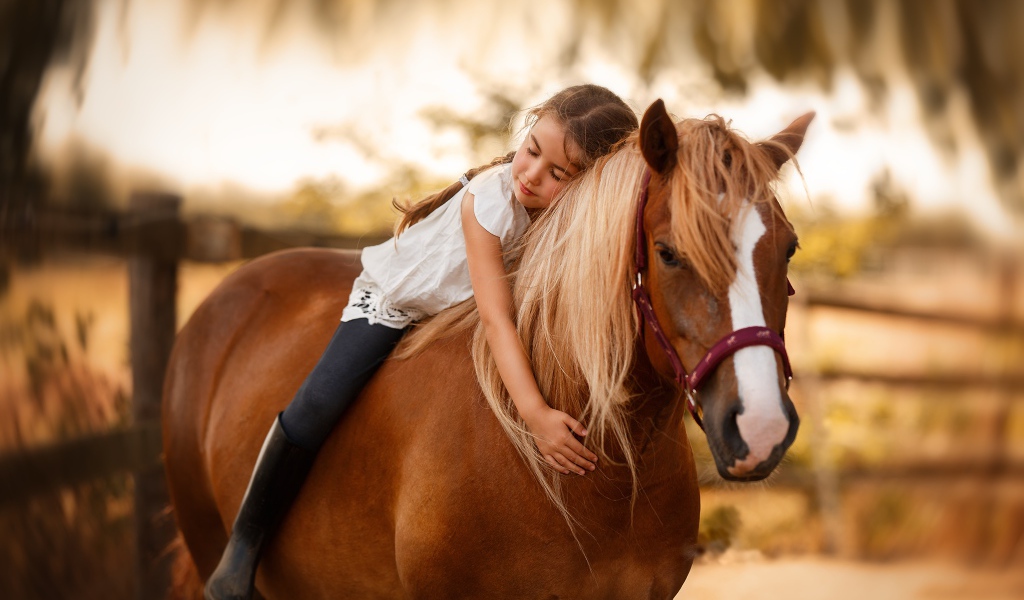 Маленькая девочка сидит на коне