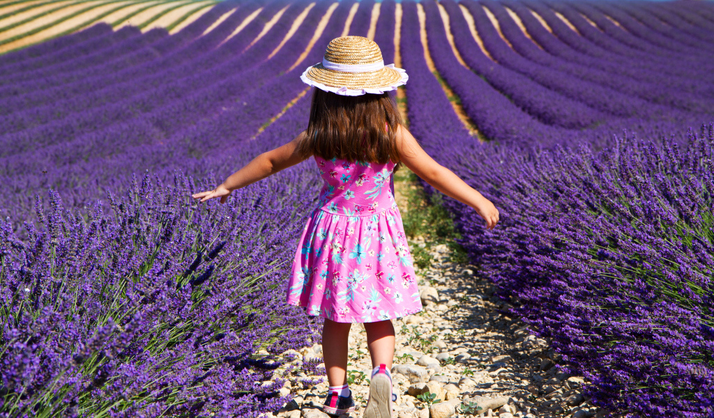 Маленькая девочка гуляет по полю с лавандой