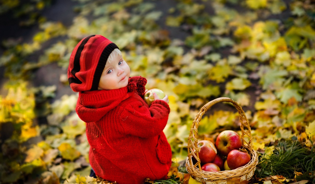 Маленькая девочка с корзиной яблок осенью