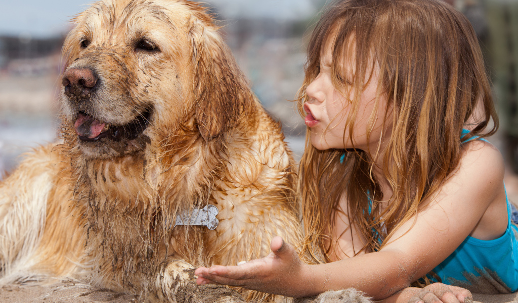 Маленькая девочка с мокрой собакой на песке