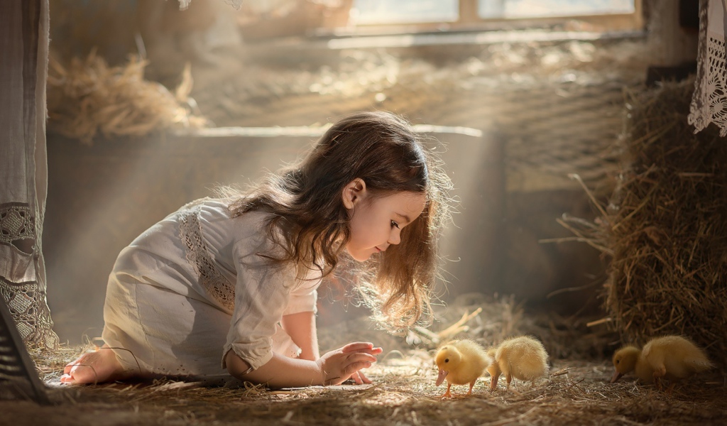 Маленькая девочка с утятами в сарае 