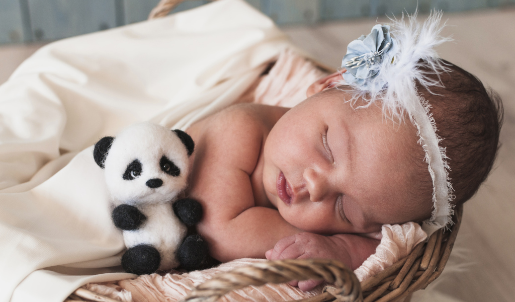 Маленькая спящая девочка с игрушечной пандой