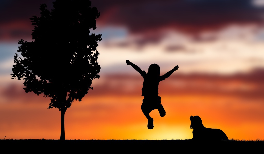 Силуэт маленького мальчика с собакой на фоне заката