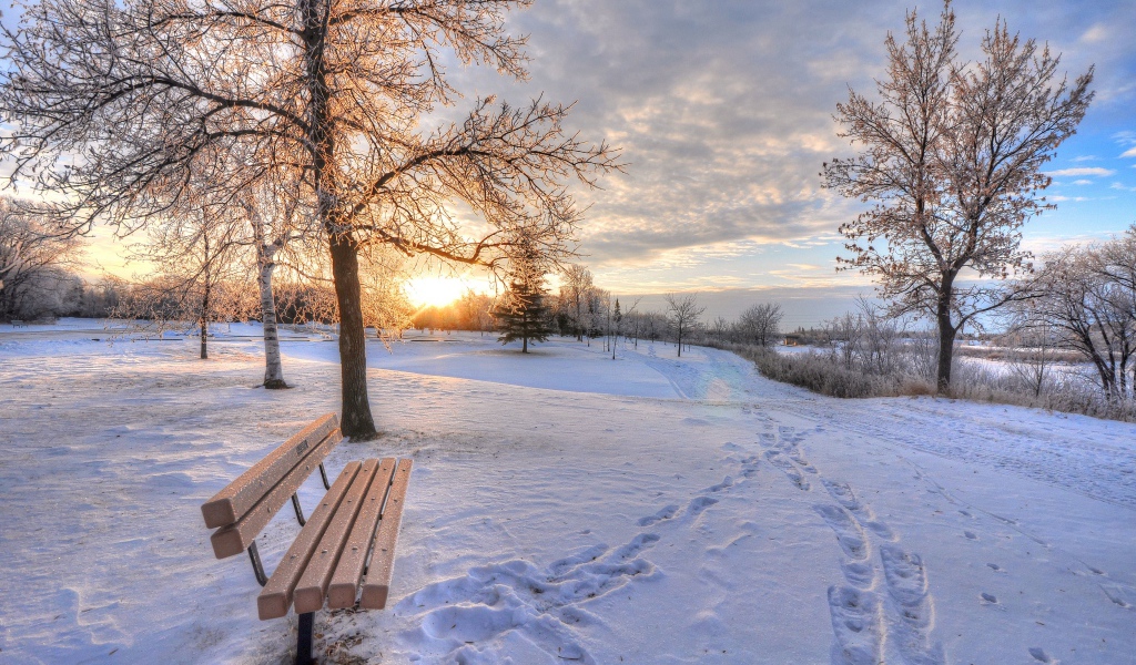 Лавка в парке морозным зимним утром