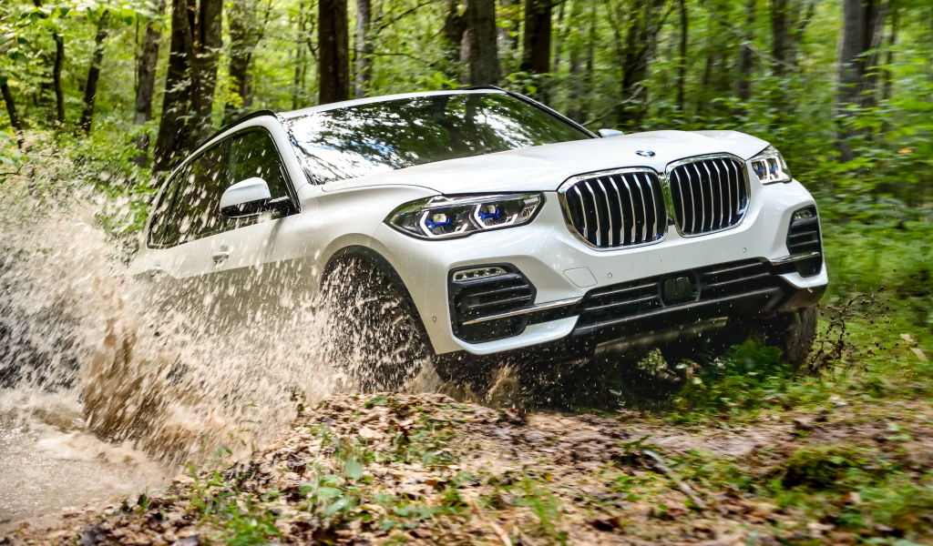Белый внедорожник BMW X5 едет по грязи в лесу