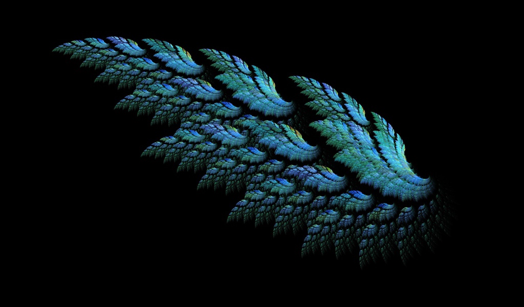 Beautiful wing on a black background 3D graphics
