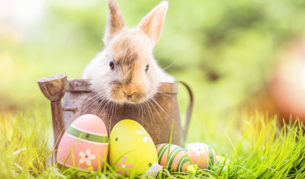 Декоративный кролик сидит в деревянной лейке с крашеными яйцами