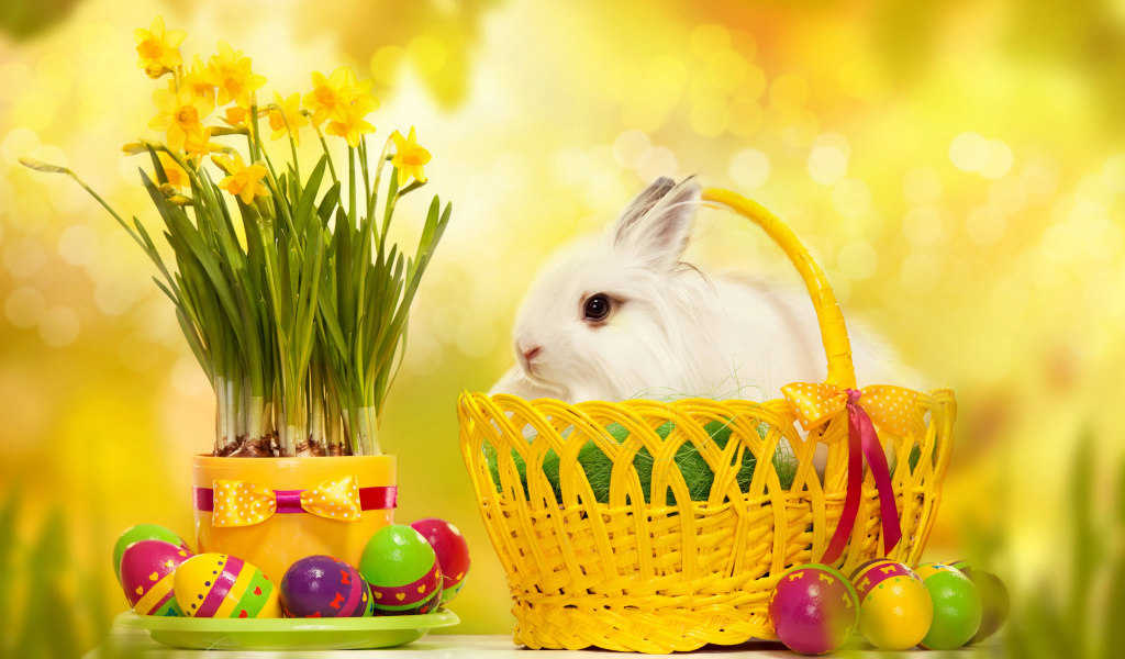 Пушистый белый кролик в корзине на столе с нарциссами и крашеными яйцами