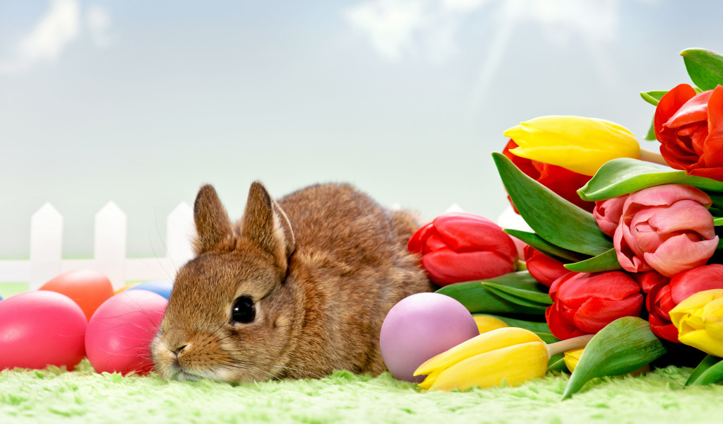 Серый декоративный кролик с букетом тюльпанов и яйцами 