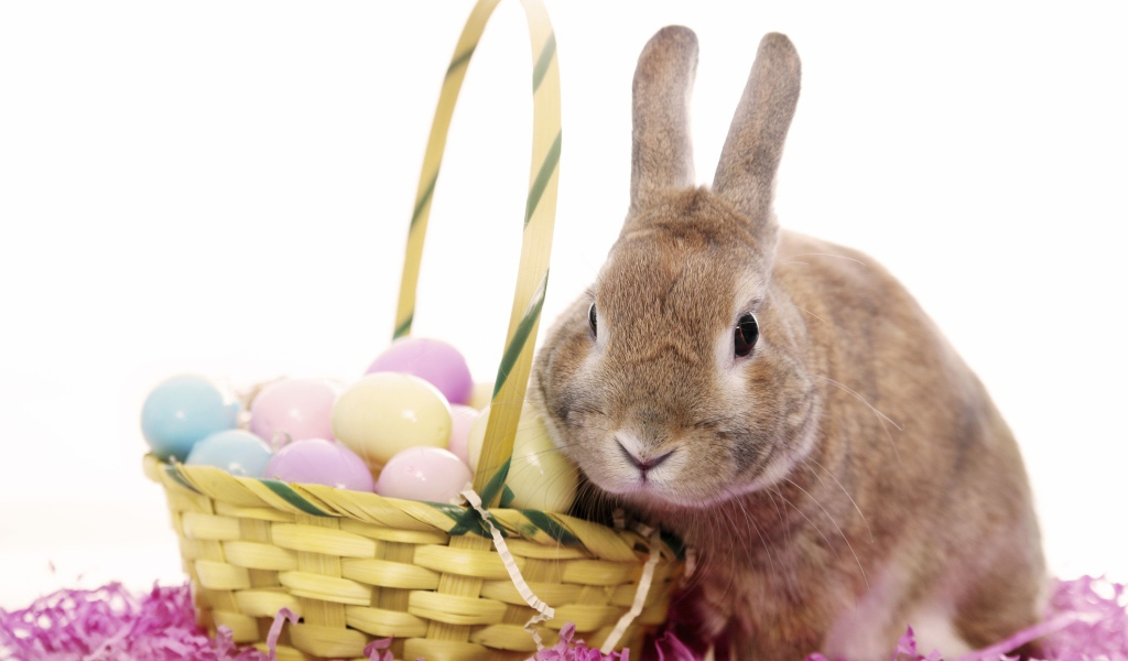 Кролик с корзиной яиц на белом фоне