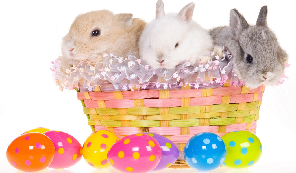 Три маленьких декоративных кролика в корзине на белом фоне с пасхальными яйцами