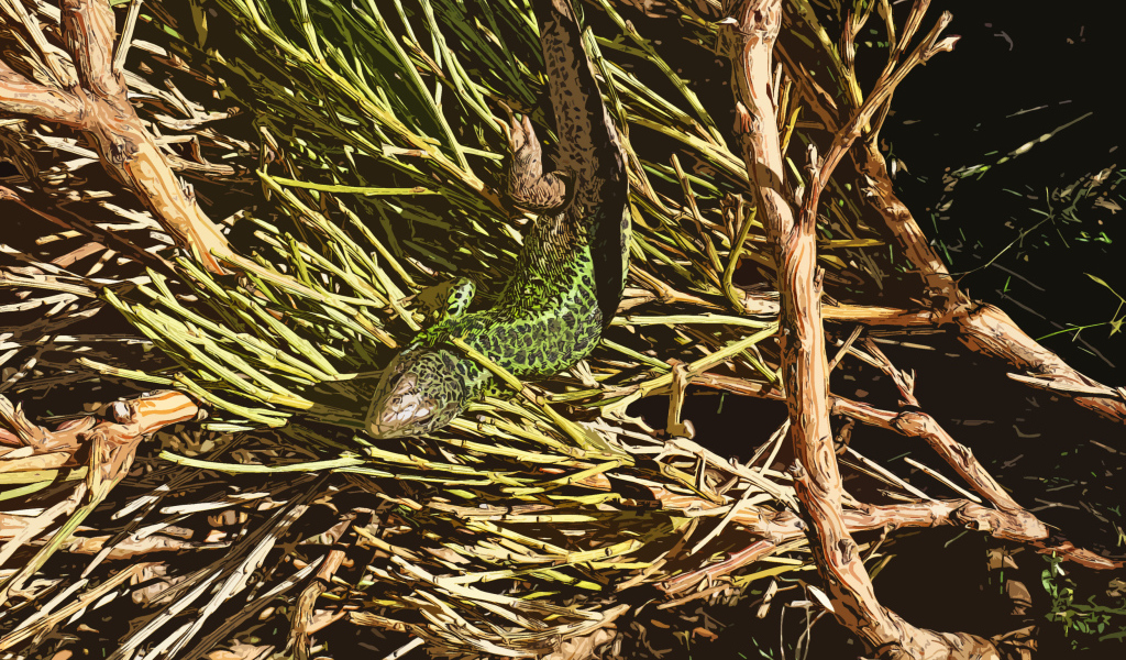 Зеленая ящерица в ветках 