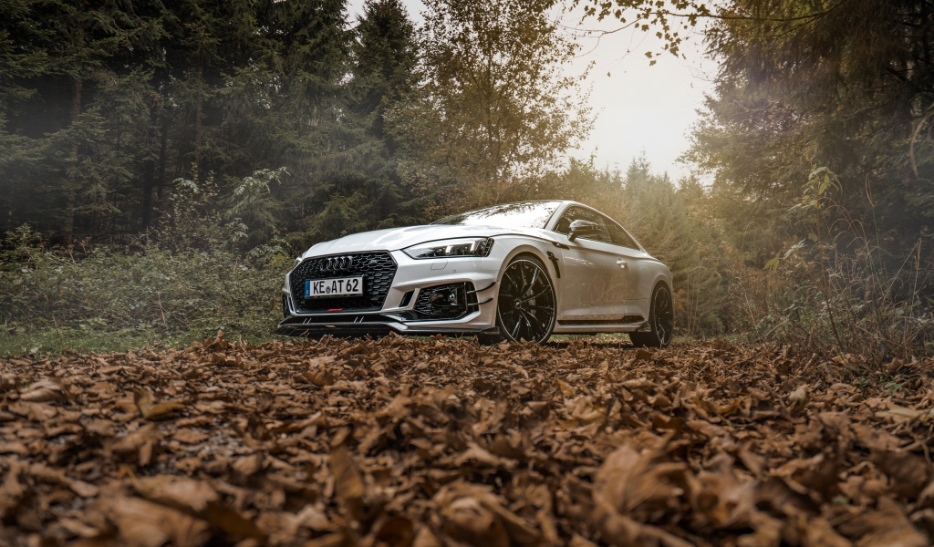Автомобиль Audi RS5 стоит в лесу на опавших листьях 