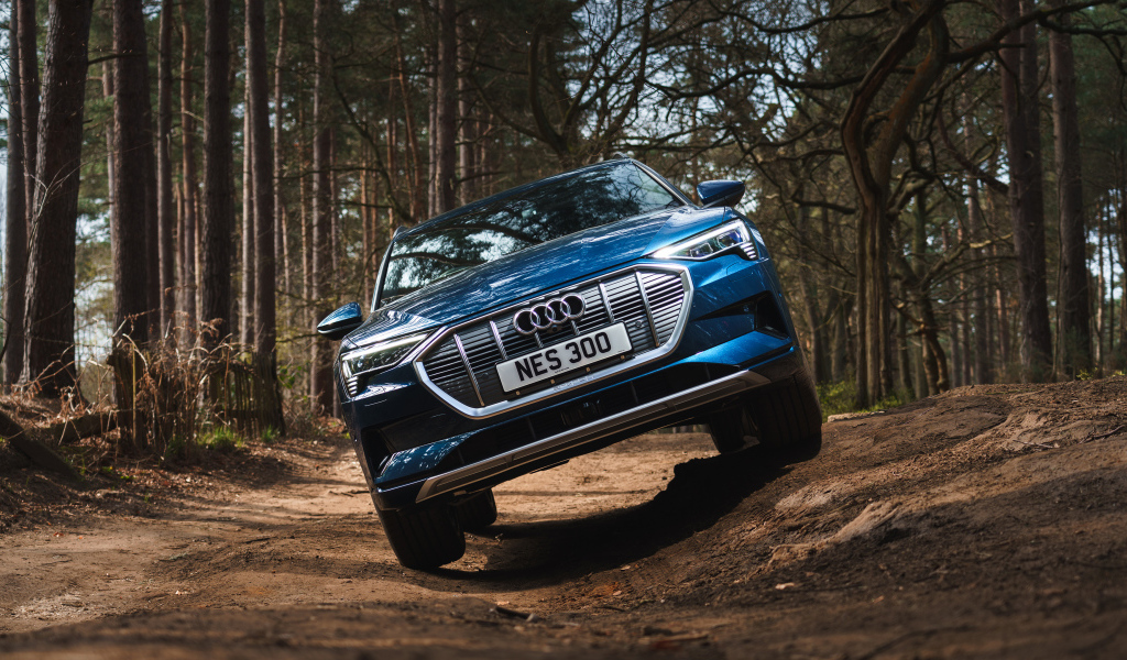 Синий внедорожник Audi E-Tron 55 Quattro 2019 в лесу