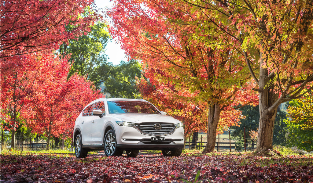 White car Mazda in the autumn park